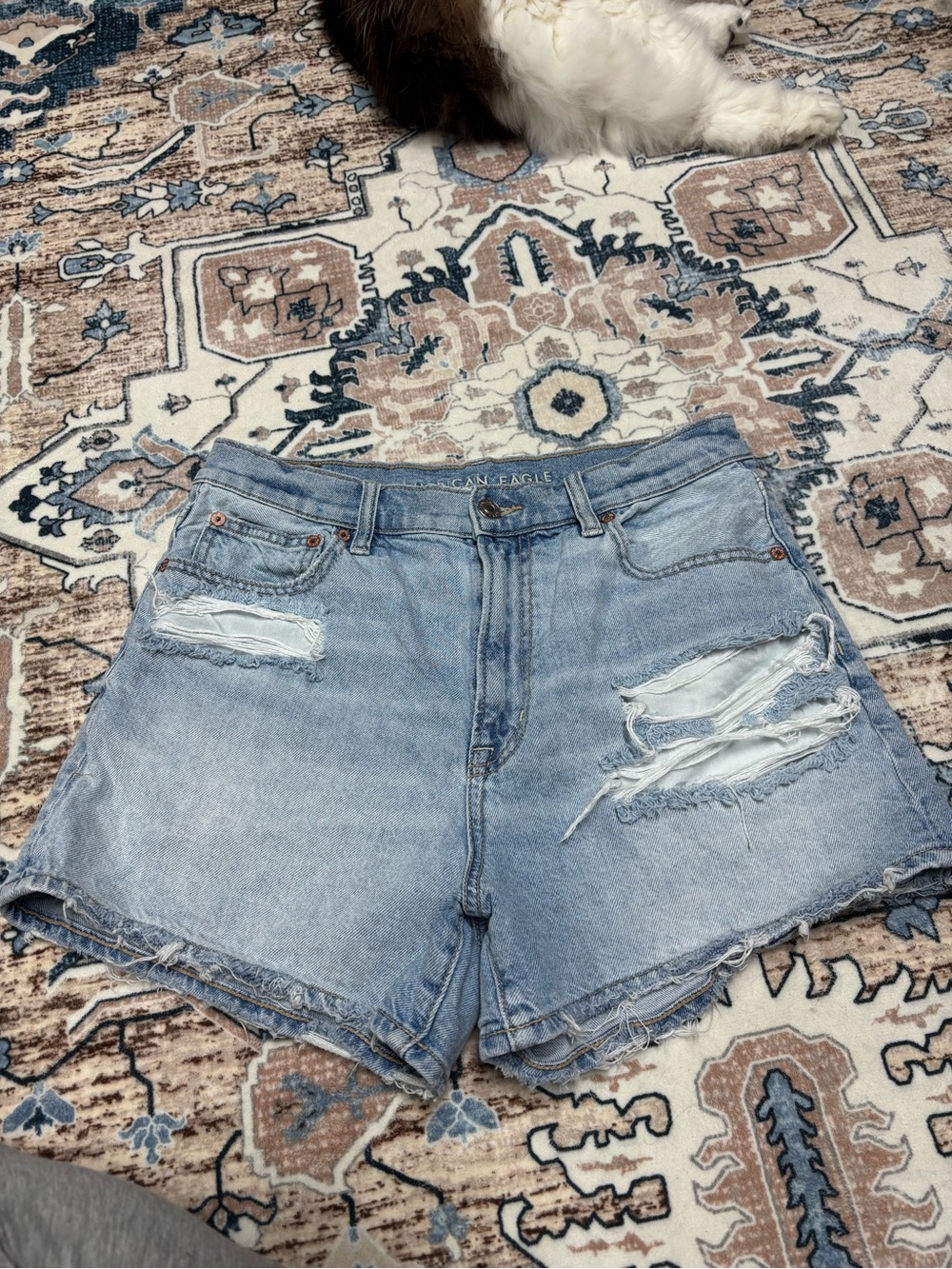 American Eagle Outfitters light wash distressed denim shorts